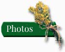 To Photos page